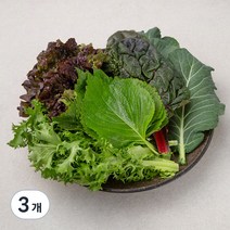 곰곰 미니모둠쌈, 200g, 3개