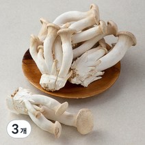 친환경 인증 국내산 머쉬마루 버섯, 600g, 3개