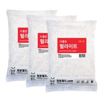 화분월드 마사토 블루베리분갈이 펄라이트 1호 10L, 3개