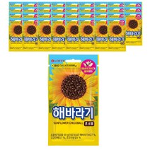 롯데제과 해바라기 초코볼, 30g, 40개