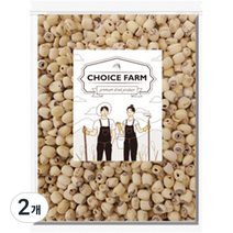 초이스팜 껍질깐 연자육, 500g, 2개