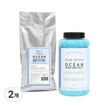바스참 사해소금 오션 리필용, 1kg, 2개