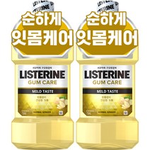 리스테린 검케어 마일드 구강청결제, 750ml, 2개