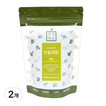 신선약초 민들레환, 2개, 300g
