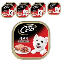 시저 1세 이상 어덜트 강아지 주식캔