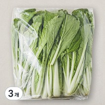 국내산 얼갈이, 1kg, 3개