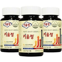[칼륨정] 한국야쿠르트 브이푸드 칼슘, 120정, 1개