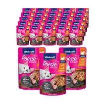 비타크래프트 포에시 델리스 고양이 간식, 칠면조, 23개입