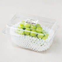 하이프루츠 알이굵은 한송이 샤인머스켓 포도, 450g, 1개