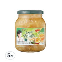 담터 아가베 생강레몬 액상차, 770g, 5개