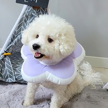 리스펫 반려동물 꽃개꽃냥 넥카라 블루 M, 100g, 1개