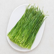 영양부추, 200g, 1개