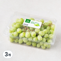 만나다 미국산 씨없는 청포도, 900g, 3개
