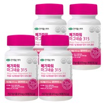 한미헬스케어 메가파워 마그네슘 315, 90정, 4개