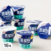 요플레 프로틴 플레인 떠먹는 요구르트, 100g, 16개
