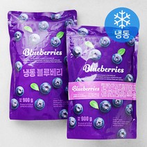 [캐나다블루베리] 웰루츠 국내산 무농약 냉동 블루베리 500gX2, 단품