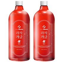 폴메디슨 대용량 라차 가글 구강청결제, 1100ml, 2개