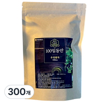 100일동안 삼각티백 우엉팥차, 1.2g, 300개