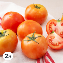 용산과일나라 완숙토마토, 1.2kg, 2개