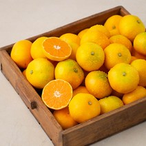 곰곰 농협 당도선별 하우스 감귤, 1,8kg, 1박스