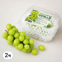 GAP 김천 샤인머스캣, 500g, 2팩