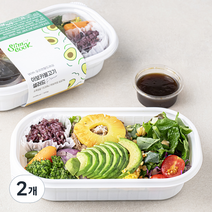 슬림쿡 아보카불고기 샐러드, 300g, 2개