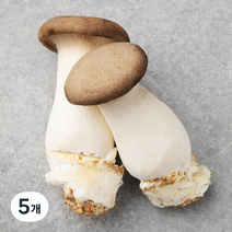 새송이버섯 2입, 170g, 5개