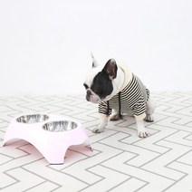 레드퍼피 피카소 반려동물 패턴 매트 러그형, 혼합색상