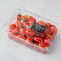 다름달음 스테비아 대추방울토마토, 1kg, 1개