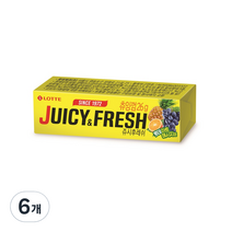 쥬시후레쉬 츄잉껌, 26g, 6개