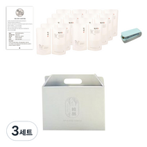 러블리팜 파스텔 한약용돈박스 + 스탠딩파우치 18p + 미니실링기 + 복약지시서 세트, 멜론(박스), 3세트