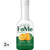 남양유업 리얼프룻베이스 포미 오렌지, 1.2kg, 2개
