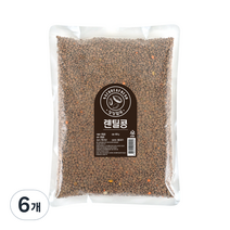 월드그린 싱싱 렌틸콩, 6개, 800g