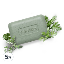 때가솔 쑥 때밀이 각질제거 목욕비누, 100g, 5개