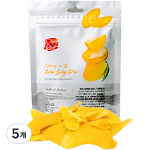 폴링인브이 열대 건조과일 촉촉한 반건조 망고, 80g, 5개