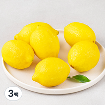 다조은 칠레산 레몬, 3팩, 700g(6입)