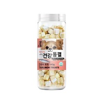 바이독 건강동결 강아지 간식 140g, 연어맛, 1개