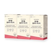 안국약품 원더풀 플로우 부스터 영양제 14p, 3개, 31.57g