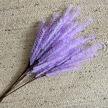 도시정원 조화 뮬리 5p, 퍼플