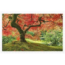 핀투 플라스틱 재질 미니퍼즐 PO, 포틀랜드의 일본 정원(PO1000-H2296), 1000피스