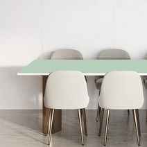 어나더 양면 가죽 방수 사각 식탁보, 60 x 100 cm, 라이트그린 + 블루