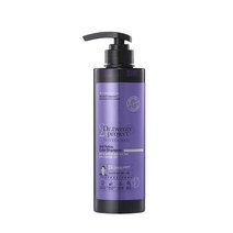 닥터트웬티프로젝트 프로페셔널 안티 옐로우 컬러 샴푸, 500ml, 1개