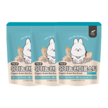 리틀스푼 유아용 유기농 현미롱스틱 쌀과자, 현미맛, 3개