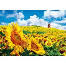 황금빛 해바라기 들판 직소퍼즐 T-A10-1020, 혼합색상, 1000피스