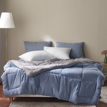 이불대장 루나 마이크로워싱 차렵이불 + 베개커버 + 패드 세트