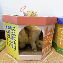 요기쏘 고양이 밀키 팔각 스크래쳐 하우스, 핑크, 1개