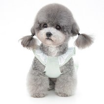 마켓A 반려동물 체크프릴 강아지옷 원피스, 그린