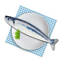 댕이와냥이 고양이 캣닢 마따따비 가득 애착 인형, 꽁치 L, 1개