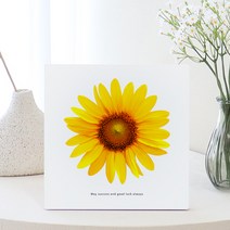 열도자 미니 해바라기 사진 오리진 WHITE