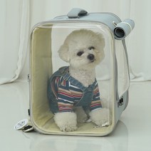 레드퍼피 반려동물 끌레 백팩 이동가방, DARK GRAY